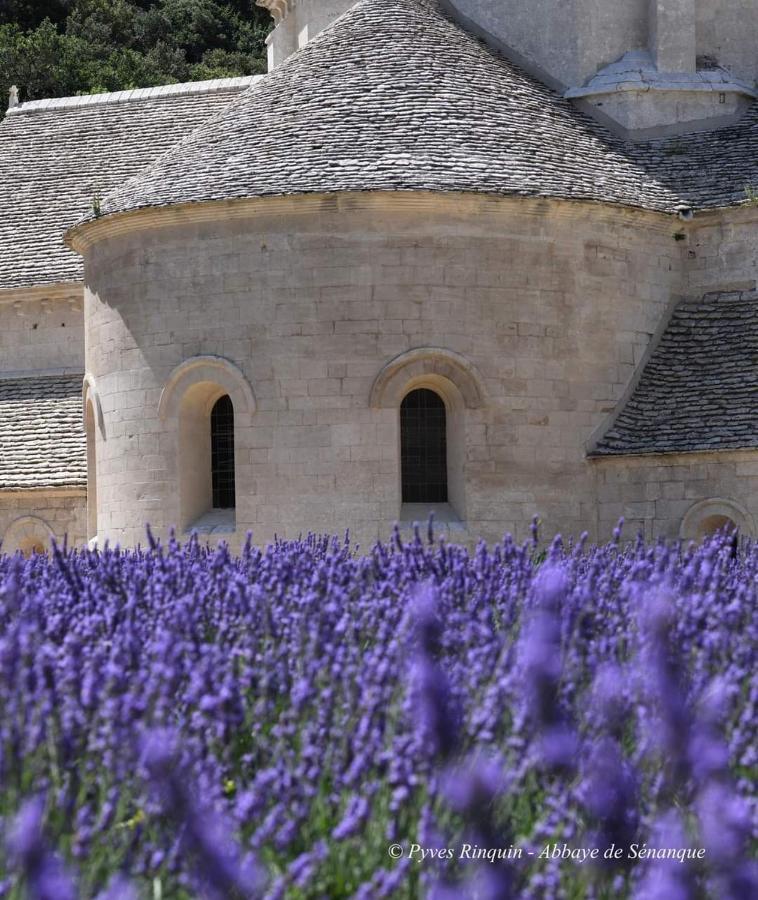 Entre Ventoux Et Luberon Chambre D'Hote Sault-de-Vaucluse Buitenkant foto