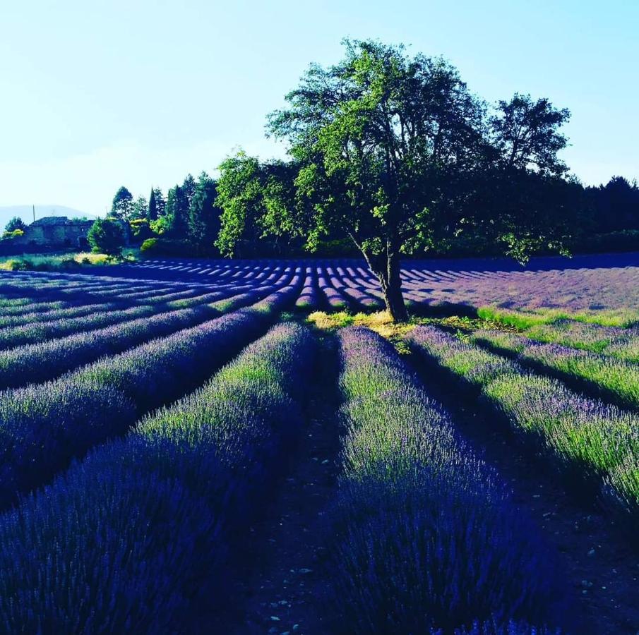 Entre Ventoux Et Luberon Chambre D'Hote Sault-de-Vaucluse Buitenkant foto