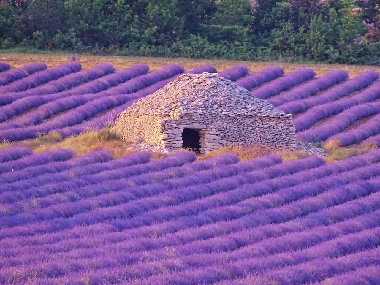 Entre Ventoux Et Luberon Chambre D'Hote Sault-de-Vaucluse Buitenkant foto
